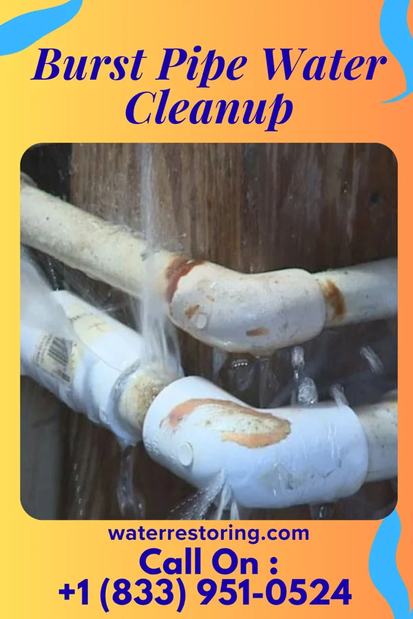Burst Pipe Water Cleanup in Newton, IA